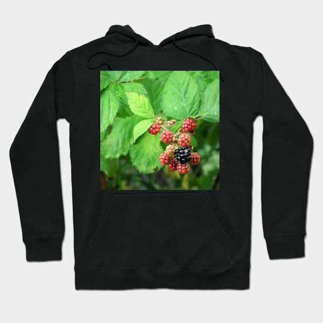 Berries Fresh Off the Vine Hoodie by TomikoKH19